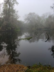 View of blackwater creek