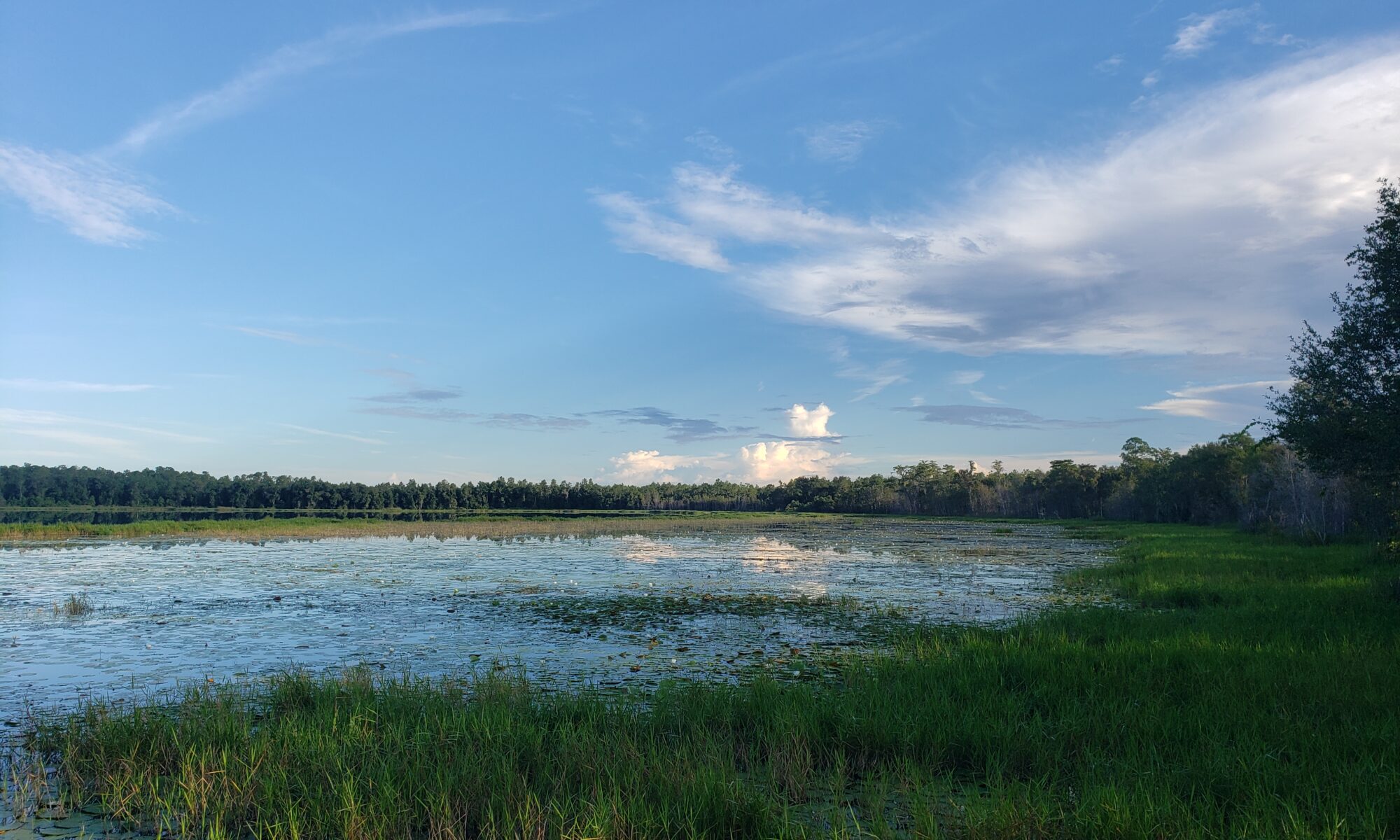 Indian Lake Recreation Area at Tiger Bay State Forest