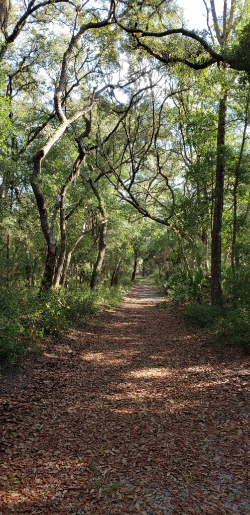 Old Field Trail at Silver Springs